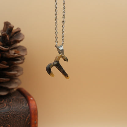 Collar Aries