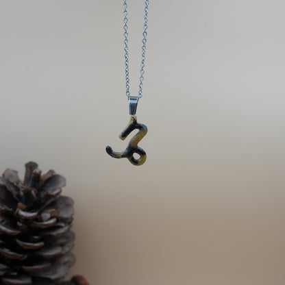 Collar Capricornio