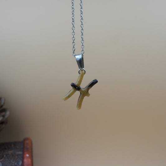 Collar Piscis